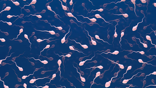 Azoospermia and IVF: Is It a Good Option for You?