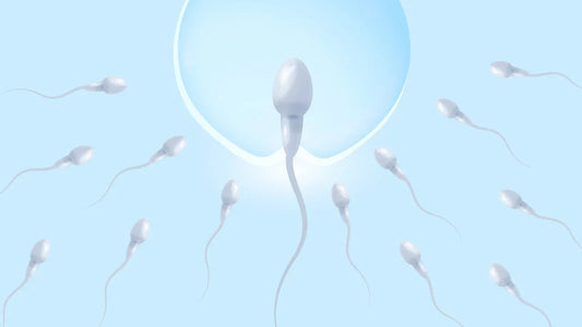 How to increase sperm count