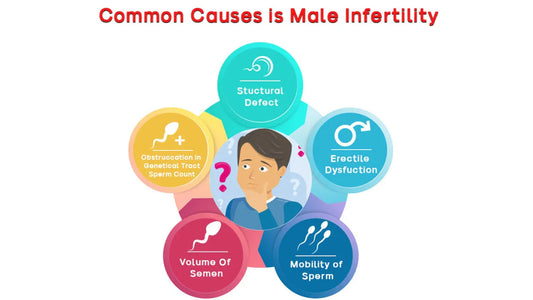 Male Infertility Main Causes