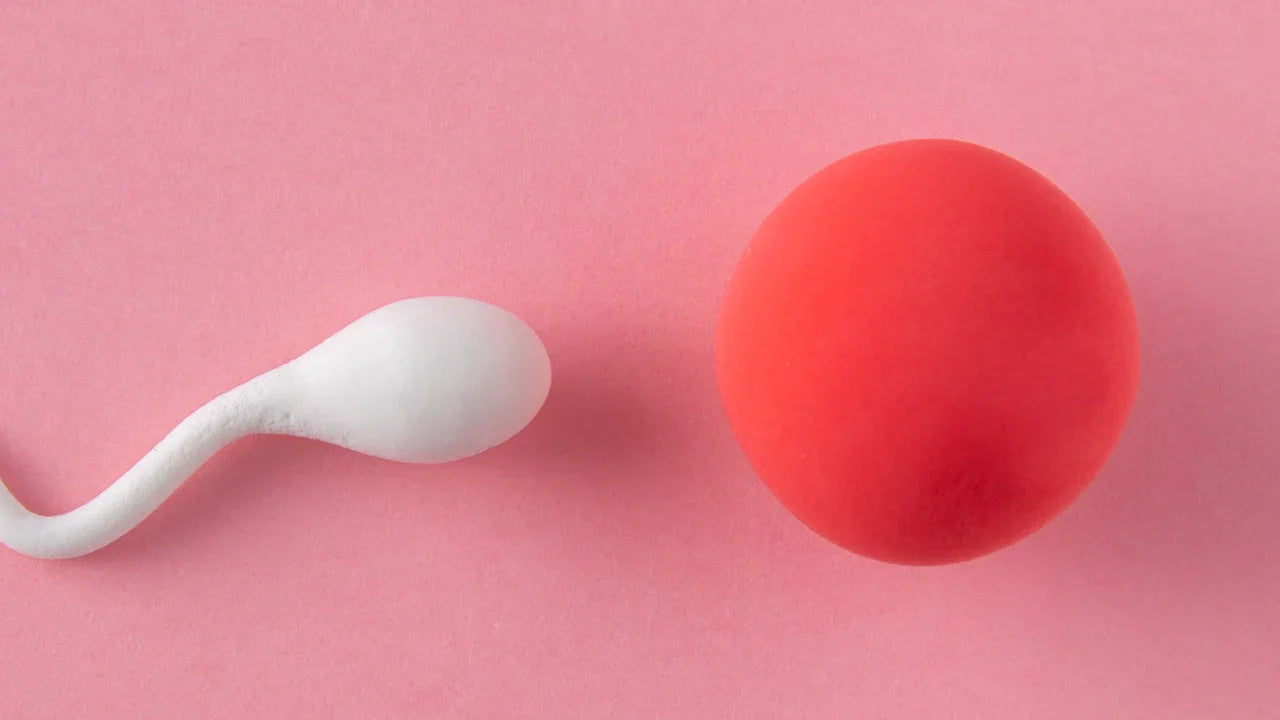 Sperm Count Testing 2025: Home vs Lab Tests, Normal Ranges & How to Im ...