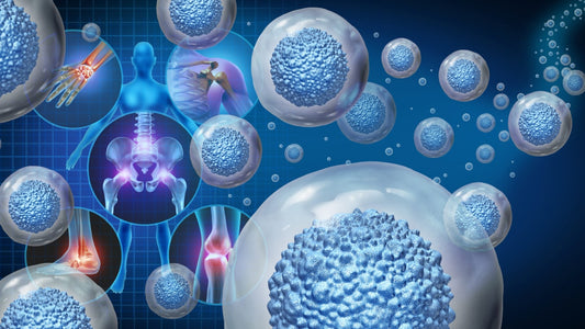 Stem Cell Therapy vs Natural Solutions for Male Infertility